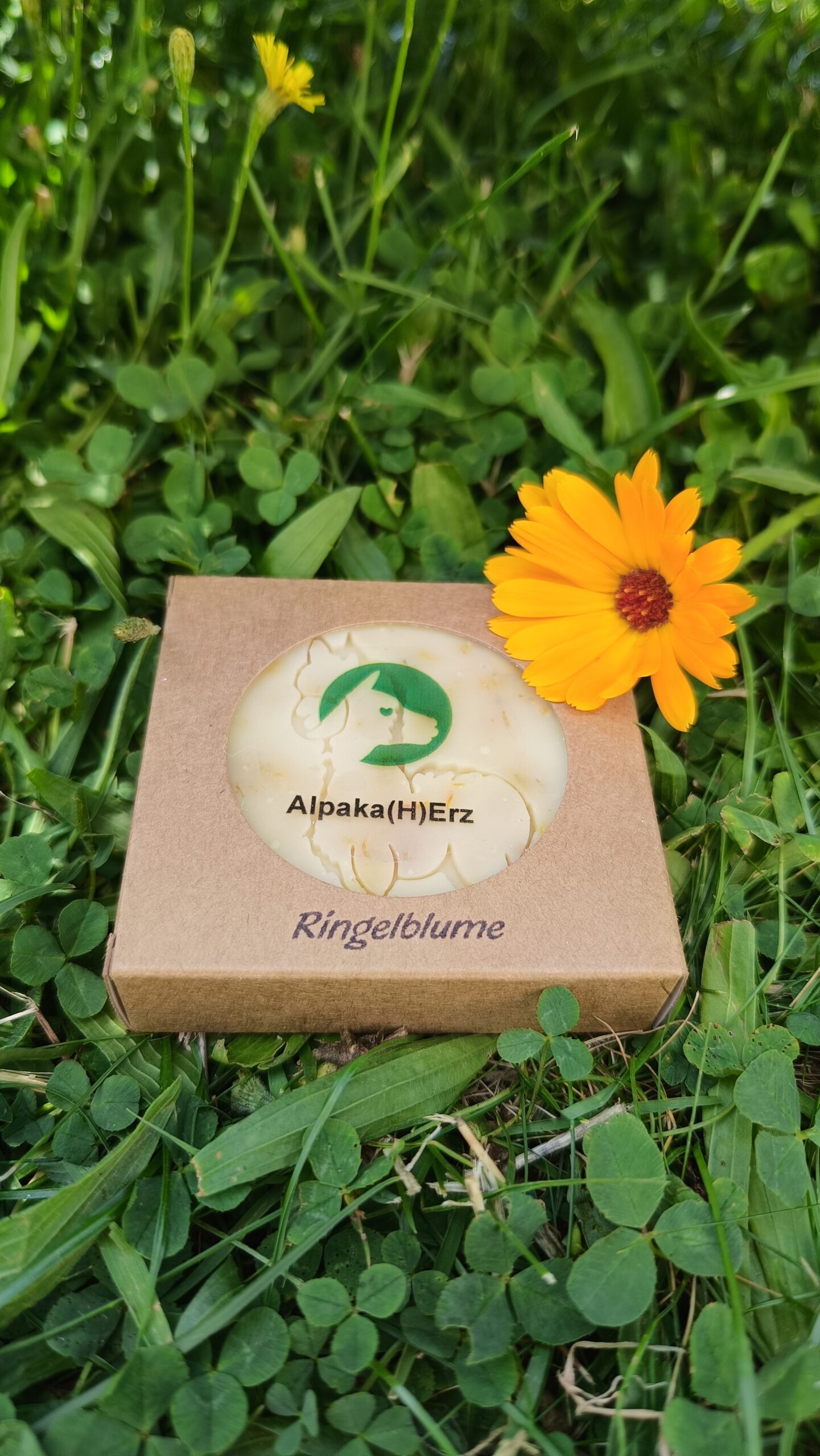 Alpaka Keratin Seifen – Bild 13